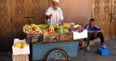 Median Wealth in Morocco