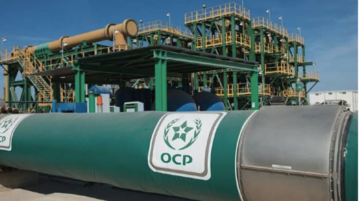 OCP fertilizer morocco